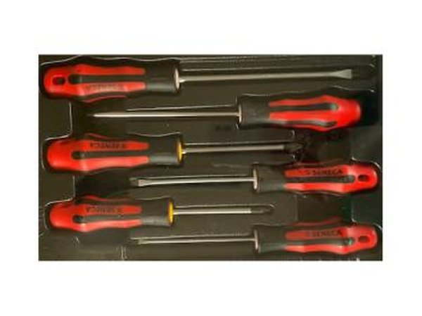 Jeux de 6 tournevis (plats + PH, plats + PZ, Torx)